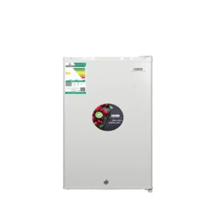 ثلاجة صغيرة هام